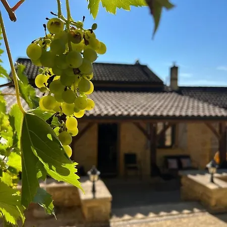Maison Perigourdine - Janode Holiday home Mauzac-et-Grand-Castang